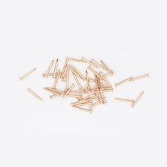 10 x 1.00 Brassed Escutcheon (Dome head) Pins