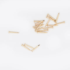 13 x 1.60 Brassed Escutcheon (Dome head) Pins