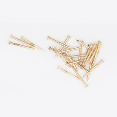 20 x 1.60Brassed Escutcheon (Dome head) Pins