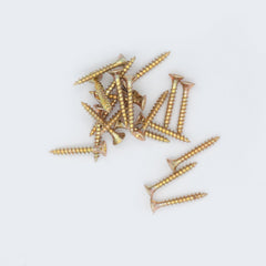 M3.5 25mm Standard Woodscrew