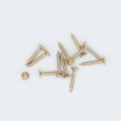 M4 25mm Standard Woodscrew