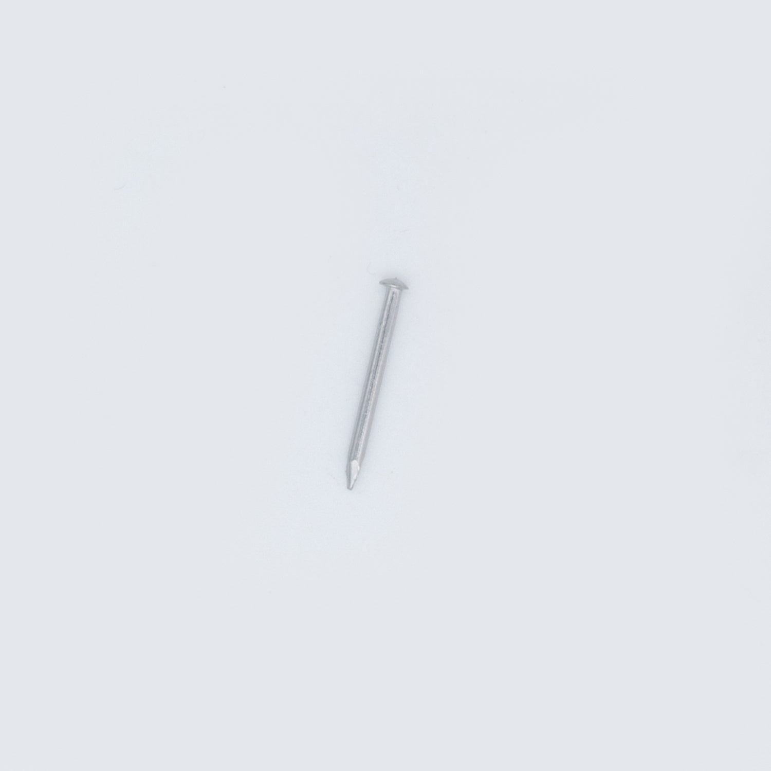 20 x 1.60 Stainless Steel Escutcheon (Dome head) Pins