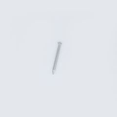 20 x 1.60 Stainless Steel Escutcheon (Dome head) Pins