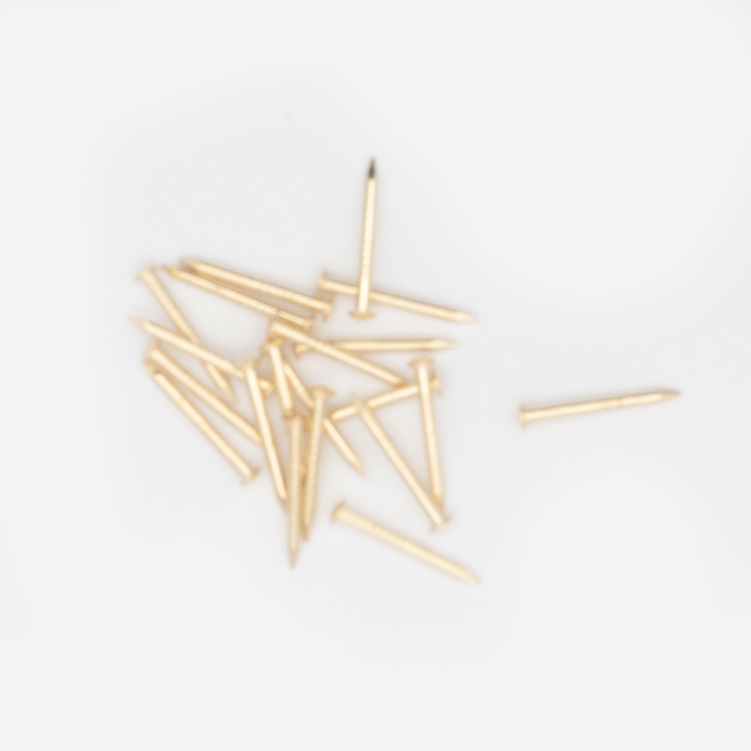 20 x 1.6 Solid Brass Escutcheon Pins (Dome head nails)