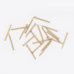 25 x 1.60 Brassed Escutcheon (Dome head) Pins