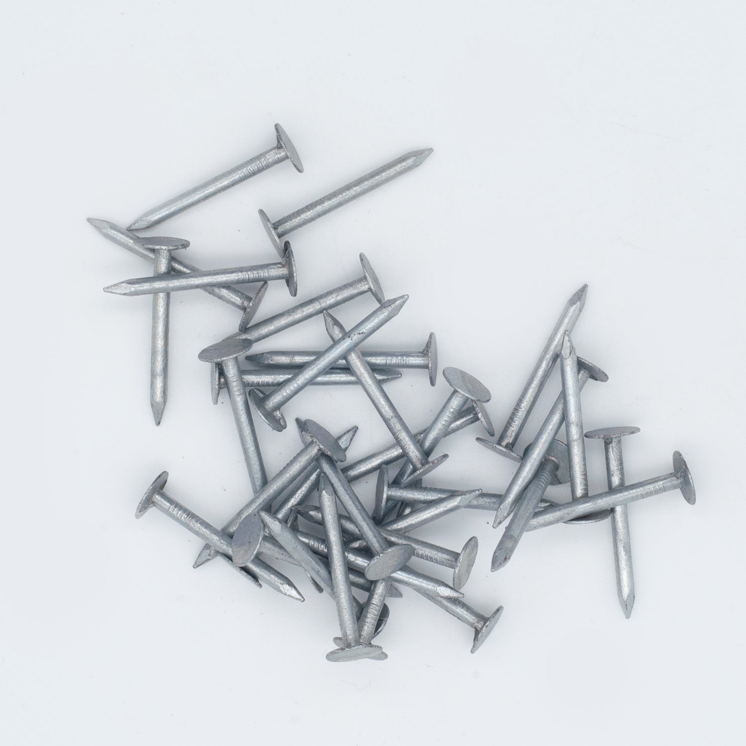30mm Clout Nails